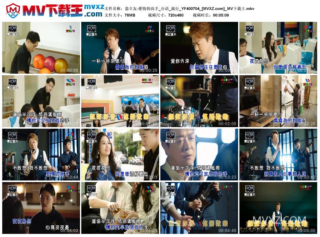 翁立友-愛情的高手_台语_流行_YF400704